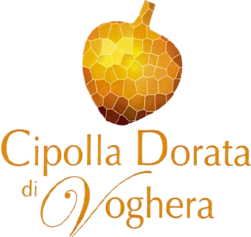 logo-cipolla-dorata-di-voghera